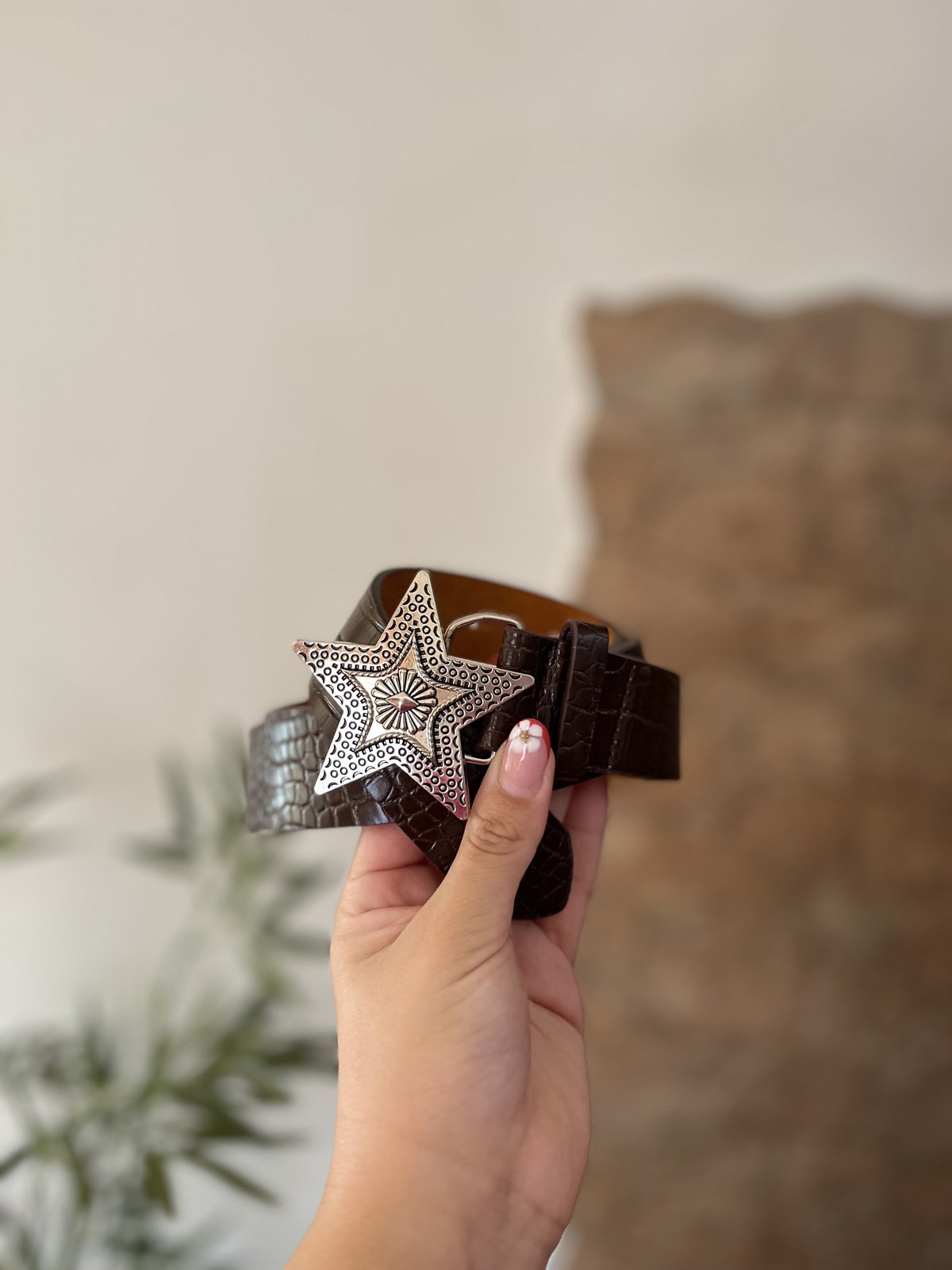 Cinturón Estrellas