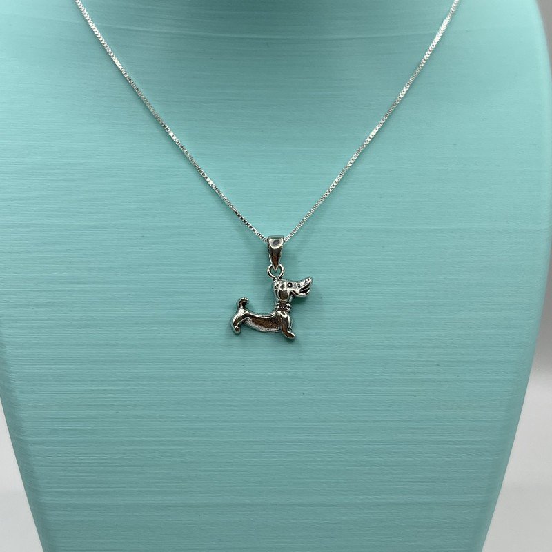 Conjunto Perro Salchicha